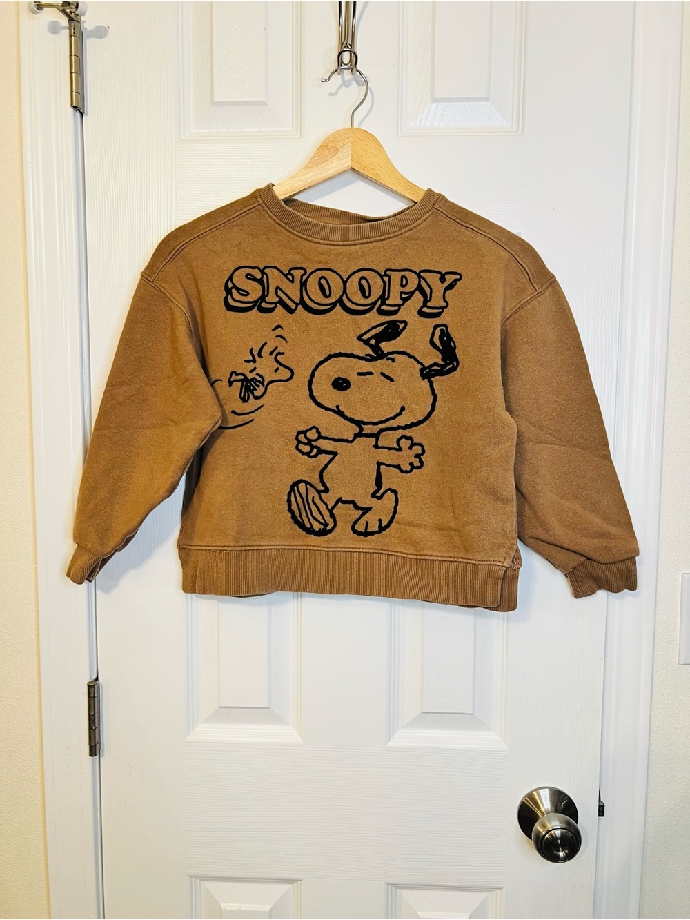 Zara Brown Peanuts Graphic Sweatshirt
